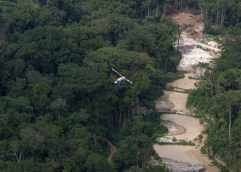 Ibama define nova prioridade para enfrentar perdas na biodiversidade e a crise climática