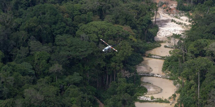 Ibama define nova prioridade para enfrentar perdas na biodiversidade e a crise climática