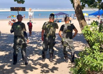 Resgate de animais silvestres e outras ações se destacam nas operações ambientais de Bertioga pelo DOA