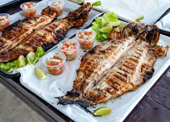 Tradicional Festa da Tainha de Bertioga inicia dia 28 de junho