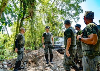 Indivíduos que desmatavam área pública em Bertioga são surpreendidos e detidos pelo DOA