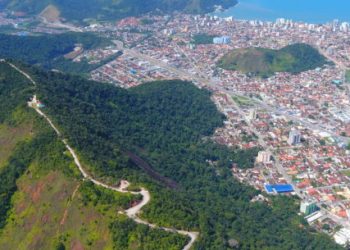 Dia Nacional da Mata Atlântica: Litoral Norte de São Paulo tem 85% do bioma preservado do estado