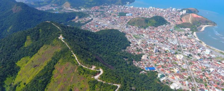 Dia Nacional da Mata Atlântica: Litoral Norte de São Paulo tem 85% do bioma preservado do estado