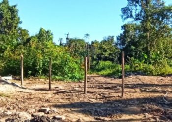 Prefeitura de Caraguatatuba impede mais de 30 tentativas de invasão somente no primeiro semestre de 2024
