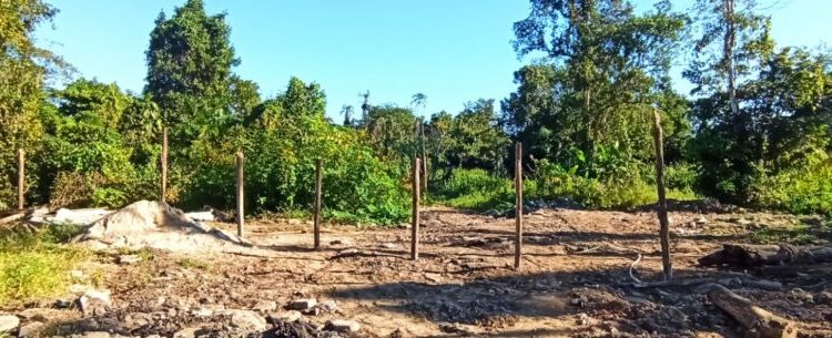 Prefeitura de Caraguatatuba impede mais de 30 tentativas de invasão somente no primeiro semestre de 2024