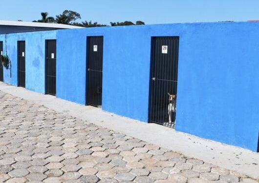 Prefeito entrega reforma do CCZ e anuncia chamamento público para implantação de Hospital Veterinário