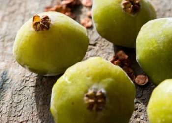 Festival Gastronômico do Cambuci é adiado para 25 de agosto