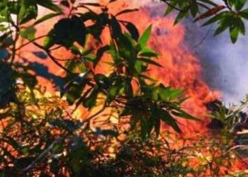 Prefeitura de Caraguatatuba alerta para tempo seco e riscos de queimadas