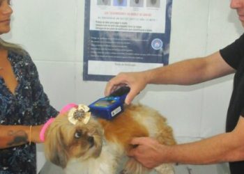 Prefeitura de Caraguatatuba abre agendamento para 200 vagas de castração de cães e gatos nesta sexta-feira