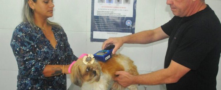 Prefeitura de Caraguatatuba abre agendamento para 200 vagas de castração de cães e gatos nesta sexta-feira