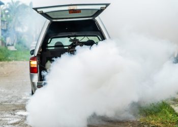 Casos de dengue têm queda de mais de 85% em Bertioga