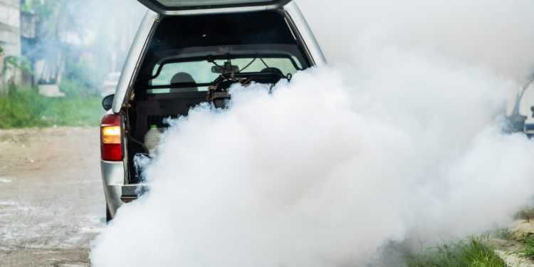 Casos de dengue têm queda de mais de 85% em Bertioga