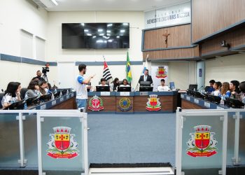 Câmara Jovem 2024: Jovens vereadores aprovam proposituras na 1ª sessão ordinária do programa