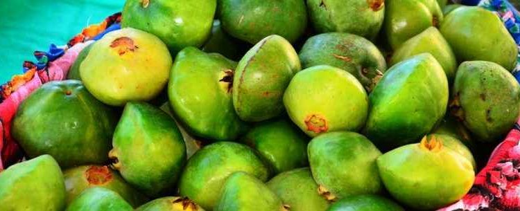 Caraguatatuba realiza Festival Gastronômico do Cambuci dia 30 de junho