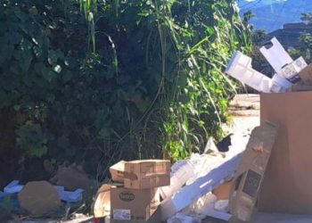 Prefeitura de Caraguatatuba aplica 299 multas por descarte irregular em vias públicas