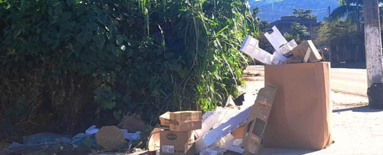 Prefeitura de Caraguatatuba aplica 299 multas por descarte irregular em vias públicas