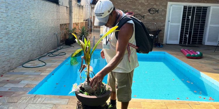 Caraguatatuba reduz índice de densidade larvária do mosquito Aedes aegypti e fica em estado de alerta