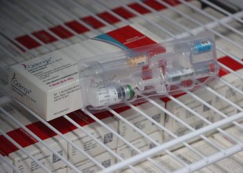  Caraguatatuba imuniza 54% do público alvo na segunda dose da vacina contra dengue