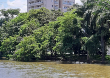 Prefeitura de Caraguatatuba prossegue com limpeza do rio Santo Antônio, na altura do Caputera