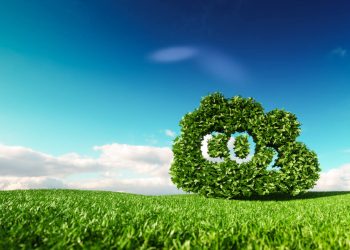 Compromisso SP Carbono Zero ganha adesão de mais 4 empresas para redução de emissões de gases