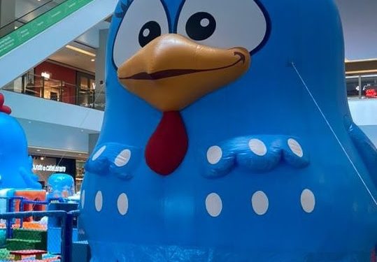  Circuito Galinha Pintadinha chega em setembro ao Serramar Shopping