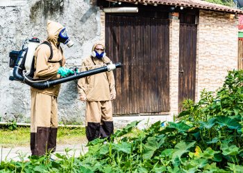 Bertioga intensifica ações de combate à dengue durante o inverno para evitar pico da doença nos meses mais chuvosos