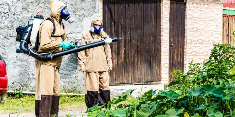 Bertioga intensifica ações de combate à dengue durante o inverno para evitar pico da doença nos meses mais chuvosos