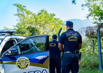 GCM prende homem por furto de cabos de iluminação pública