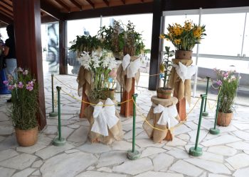 Caraguatatuba realiza 44ª Exposição de Orquídeas de 11 a 13 de outubro