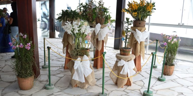 Caraguatatuba realiza 44ª Exposição de Orquídeas de 11 a 13 de outubro