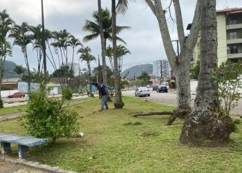 Procon de Caraguatatuba orienta sobre compras do Dia das Crianças
