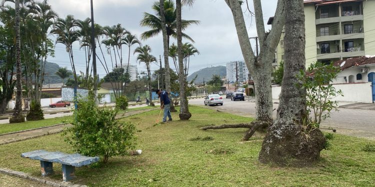 Procon de Caraguatatuba orienta sobre compras do Dia das Crianças