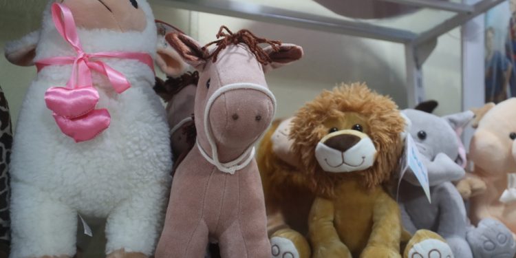 Sepedi abre circuito de palestras com o tema “Derrubando Barreiras e Empregabilidade”