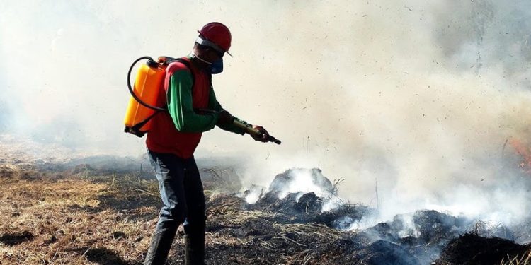 Governo de SP já aplicou mais de R$ 21 milhões em multas na Operação SP sem Fogo