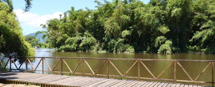 Parque Juqueriquerê registra diversas espécies de animais e atrai visitantes em Caraguatatuba