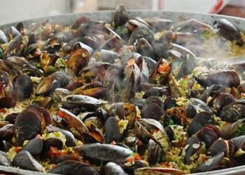 14º Festival do Mexilhão será de 15 a 17 de novembro na Praia da Cocanha