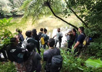 Ecoturismo em Bertioga é fortalecido com abertura de nova trilha à margem do Rio Jaguareguava