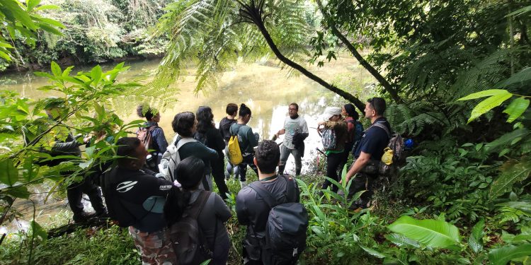 Ecoturismo em Bertioga é fortalecido com abertura de nova trilha à margem do Rio Jaguareguava