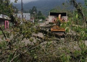 Prefeitura faz rescaldo de limpeza na cidade, após ventos fortes da semana passada