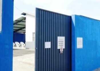 Caraguatatuba promove Feira de Adoção de Cães e Gatos neste sábado