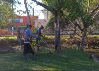 Prefeitura chama mais bolsistas do PEAD para limpeza e manutenção dos bairros de Caraguatatuba