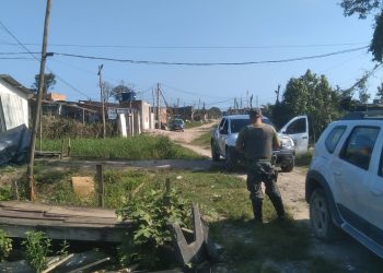 Operação ambiental em Bertioga interrompe comércio ilegal de madeira e intensifica patrulhamentos