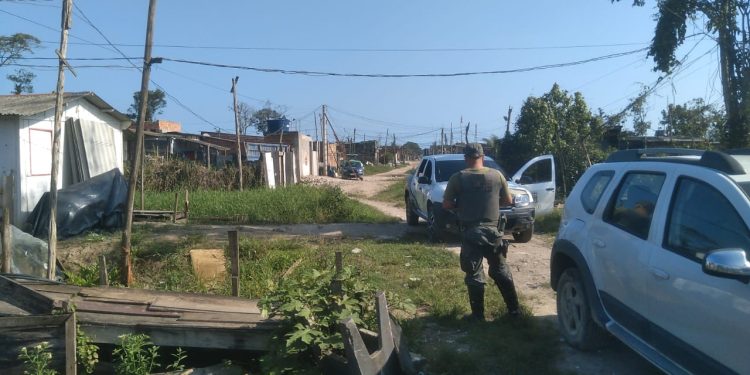 Operação ambiental em Bertioga interrompe comércio ilegal de madeira e intensifica patrulhamentos