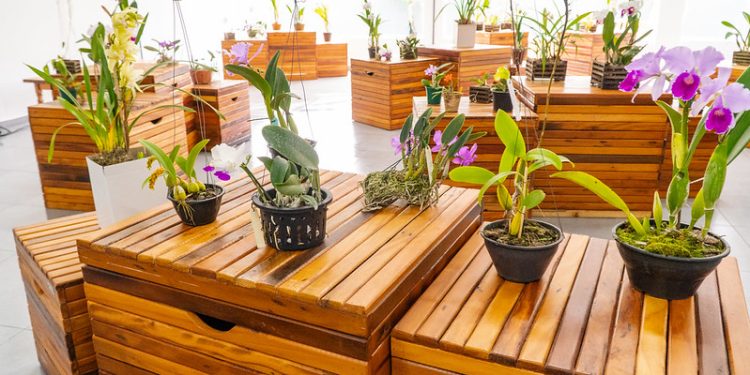 CEA de Bertioga promove programação especial neste sábado (23)