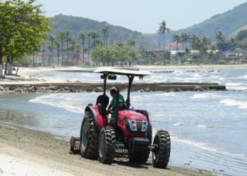 Prefeitura de Caraguatatuba faz retirada de peixes mortos na praia do Indaiá