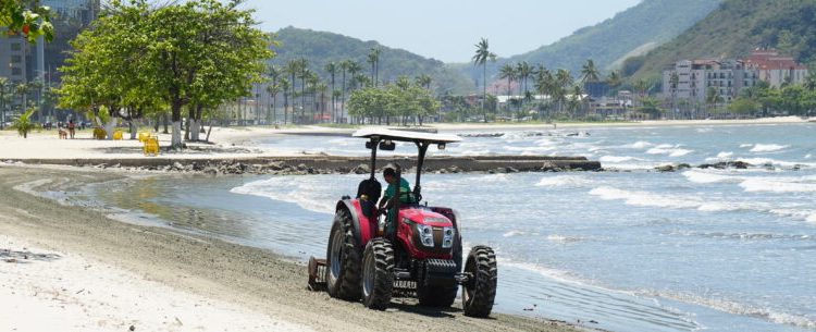Prefeitura de Caraguatatuba faz retirada de peixes mortos na praia do Indaiá