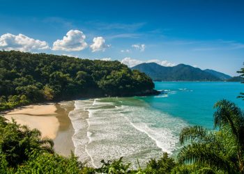  Governo de SP abre consulta pública sobre plano de adaptação e resiliência às mudanças climáticas 