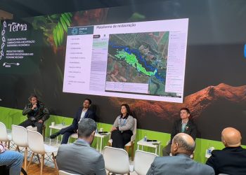 Governo de SP lança, na COP29, plataforma avançada de estímulo à restauração de áreas protegidas