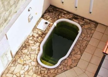 Disque Dengue atende 721 denúncias de focos do mosquito e Prefeitura reforça importância de eliminar criadouros