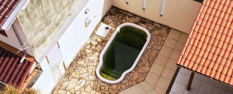 Disque Dengue atende 721 denúncias de focos do mosquito e Prefeitura reforça importância de eliminar criadouros